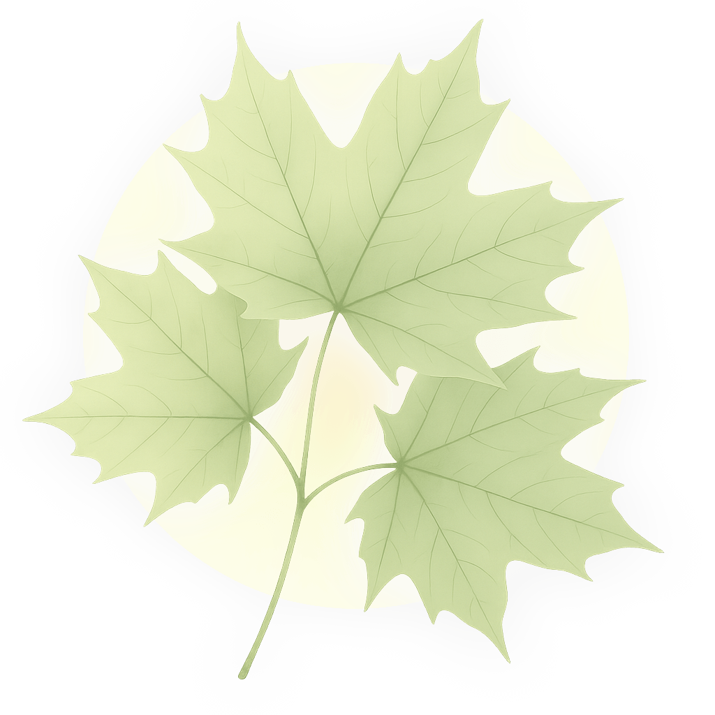 forgiveness-sun shines through leaves