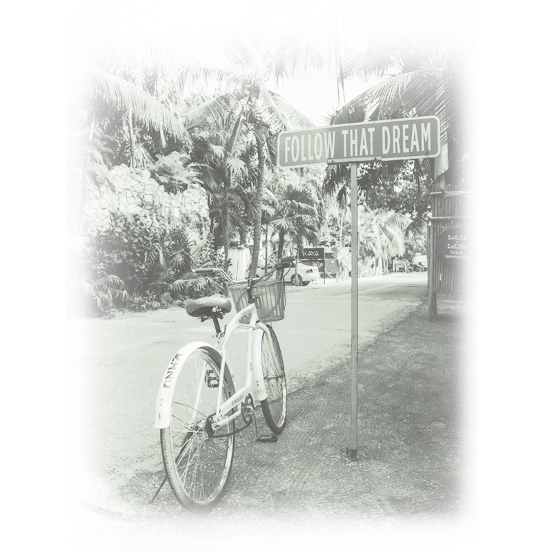 life-coaching-follow-that-dream